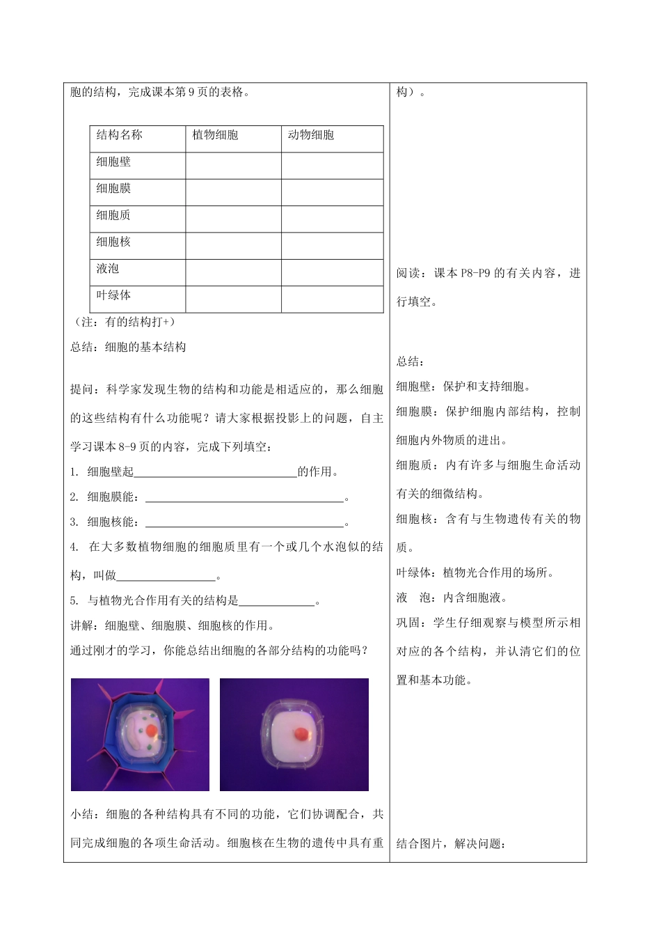 2013-2014学年七年级生物下册 8.1 生物体的基本结构教案 （新版）苏科版_第3页