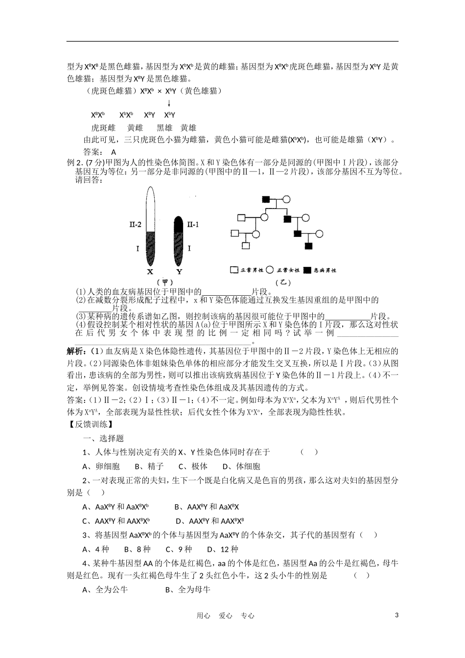 高中生物《伴性遗传》学案3 沪科版第三册_第3页