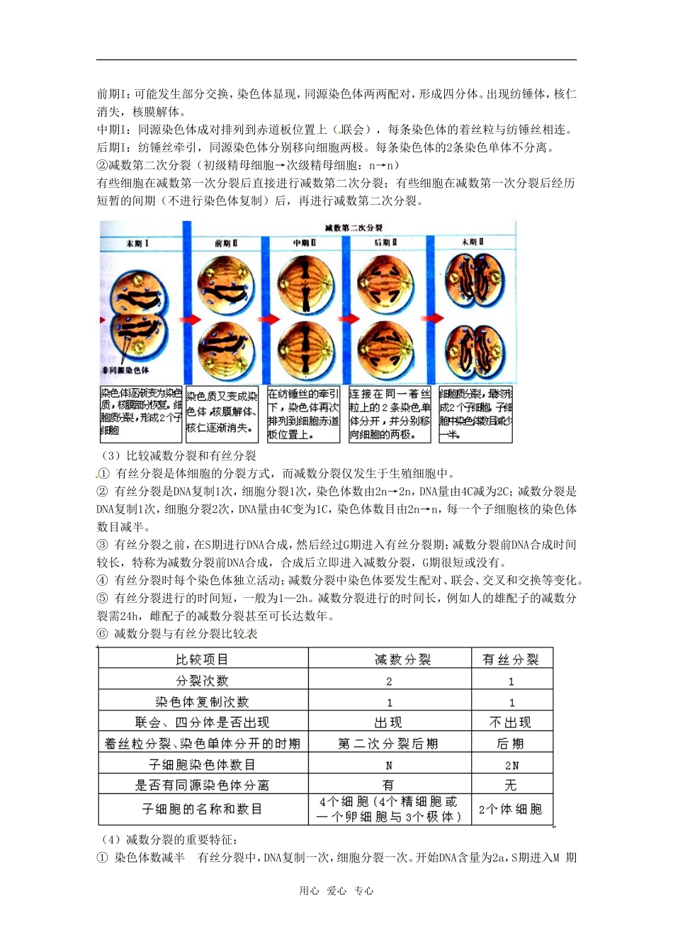 高中生物： 21 减数分裂（学案）苏教版必修2_第2页