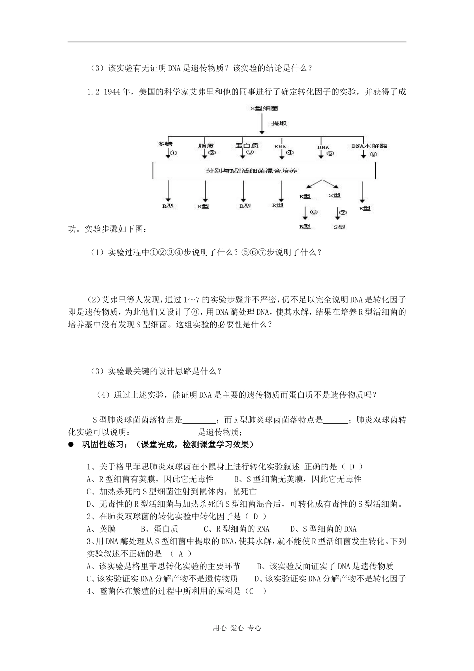 高中生物：6.1《遗传信息》学案（3）（沪科版第二册）_第3页