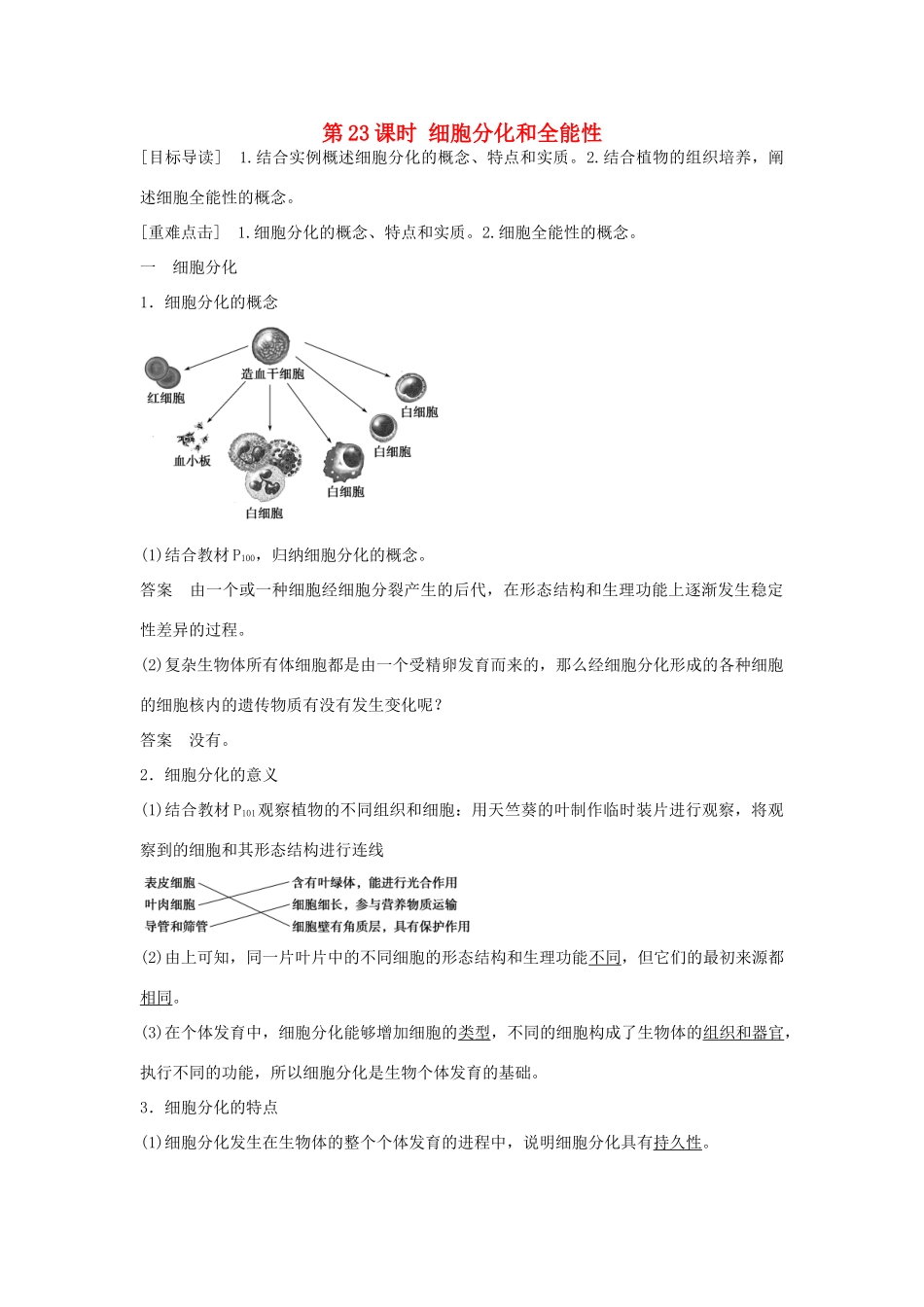 高中生物 第五章 第23课时 细胞分化和全能性课时作业 苏教版必修1-苏教版高一必修1生物学案_第1页
