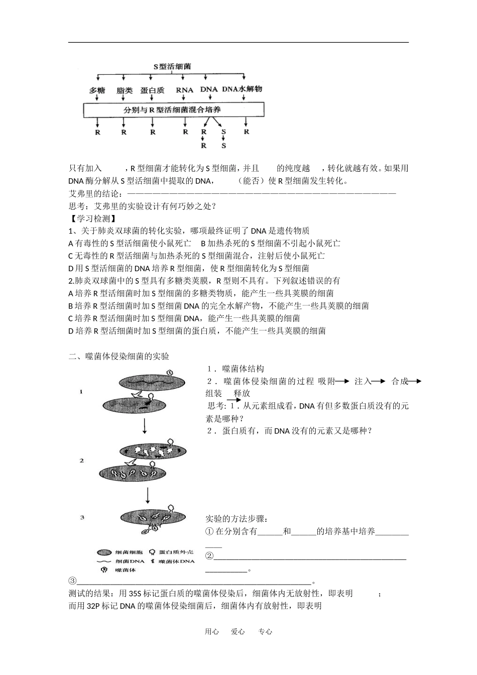高中生物：3.1《DNA是主要的遗传物质》学案（1）（新人教版必修2）_第2页