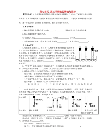 山东省枣庄是台儿庄区涧头二中九年级化学第七章 7.3钢铁的锈蚀与防护学案