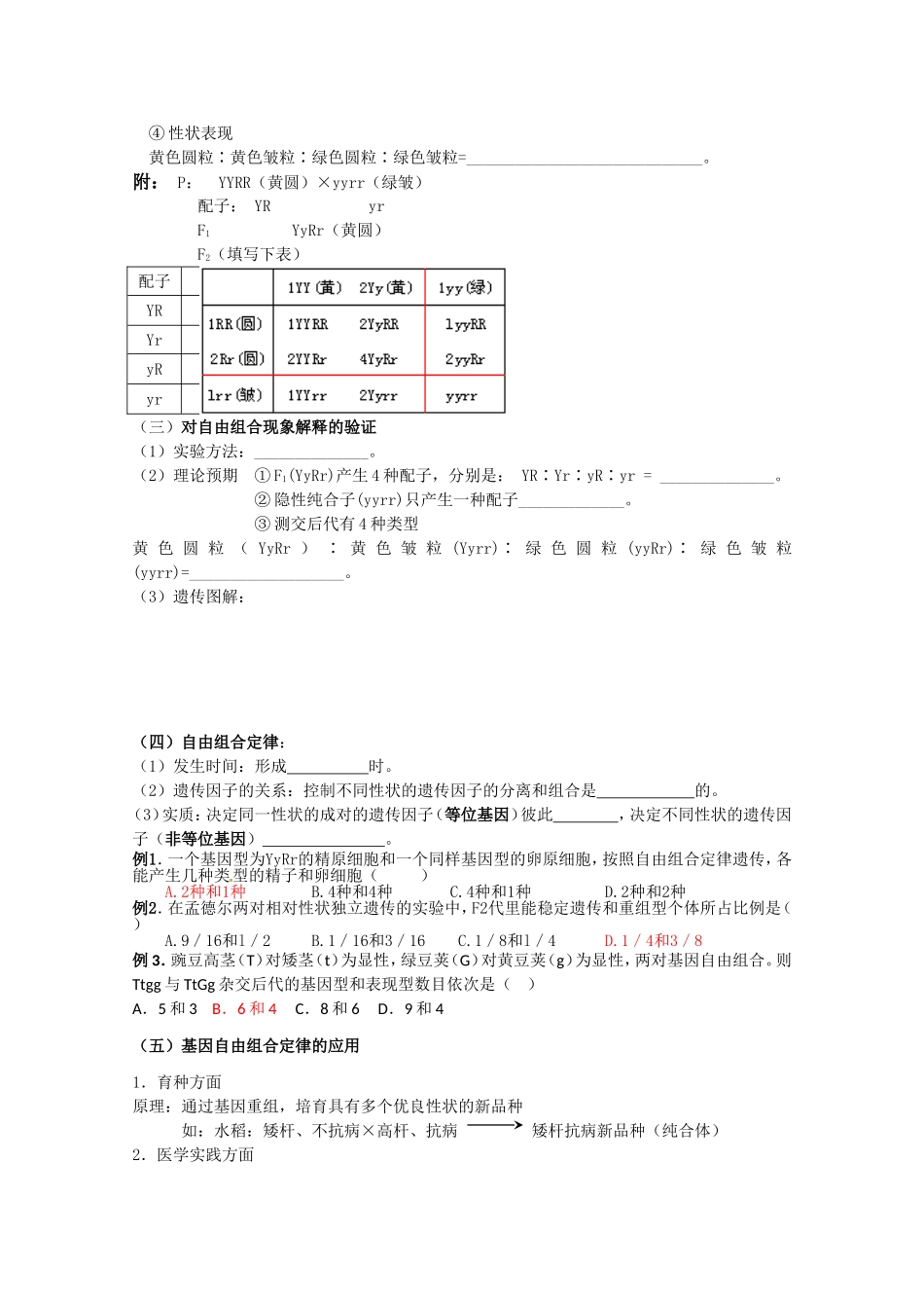 高中生物：2.2《基因的自由组合规律》学案 1必修2_第2页