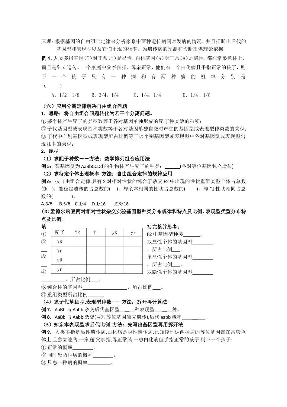 高中生物：2.2《基因的自由组合规律》学案 1必修2_第3页