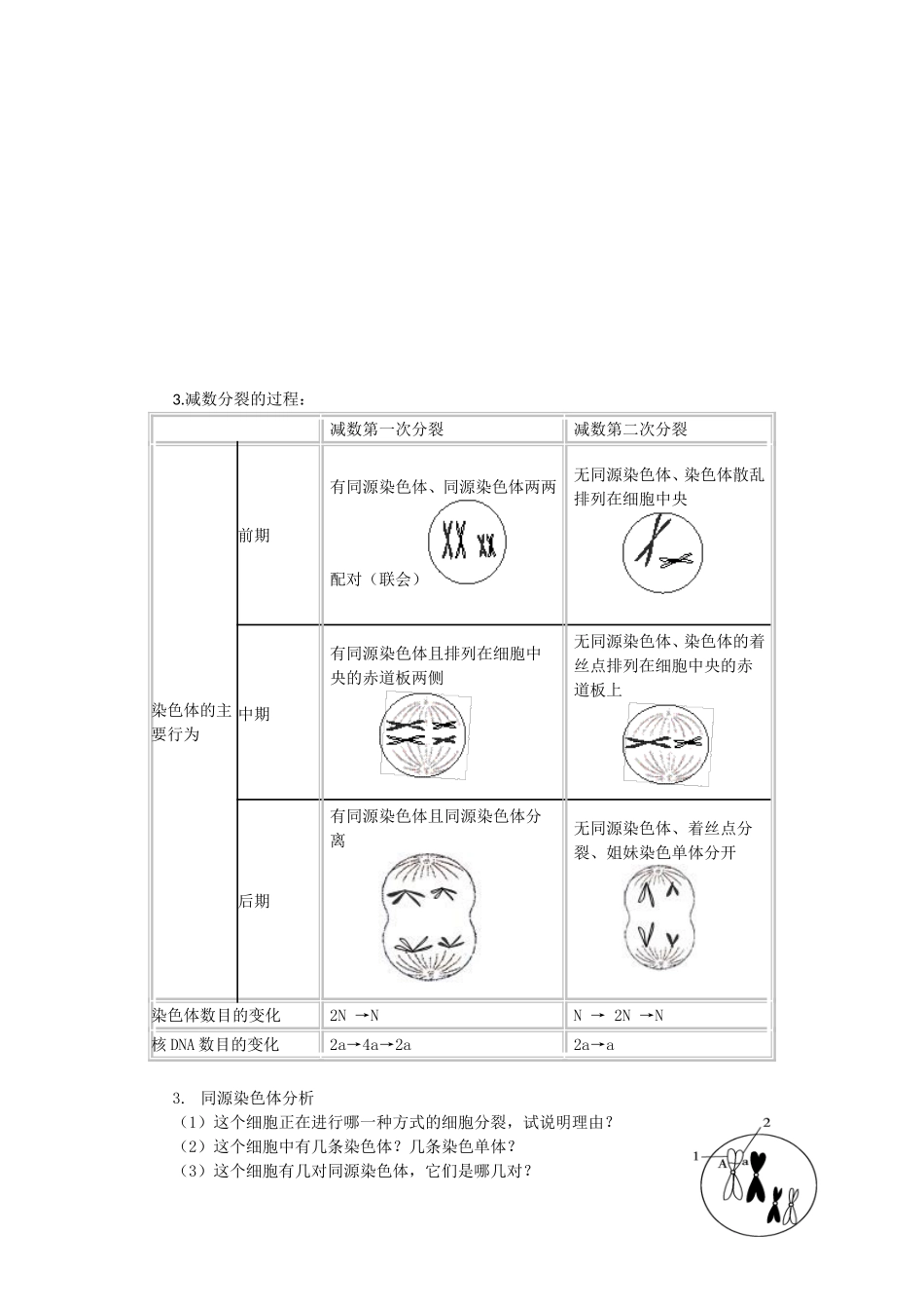 高中生物 第二章第1节 减数分裂和受精作用第1课时导学案 新人教版必修2_第2页