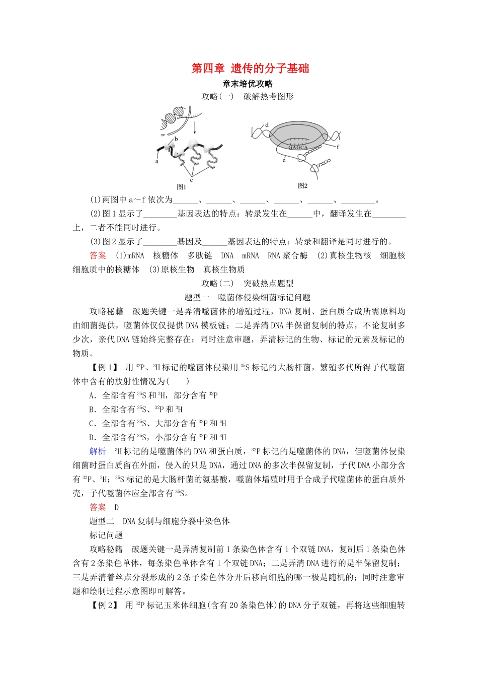 高中生物 第四章 遗传的分子基础章末培优攻略学案 苏教版必修2-苏教版高一必修2生物学案_第1页