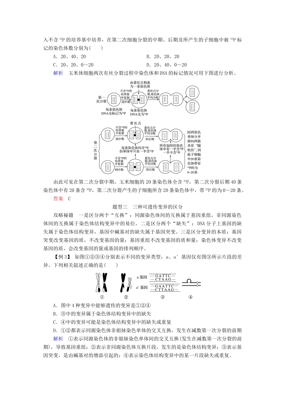 高中生物 第四章 遗传的分子基础章末培优攻略学案 苏教版必修2-苏教版高一必修2生物学案_第2页