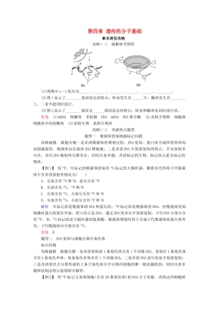 高中生物 第四章 遗传的分子基础章末培优攻略学案 苏教版必修2-苏教版高一必修2生物学案