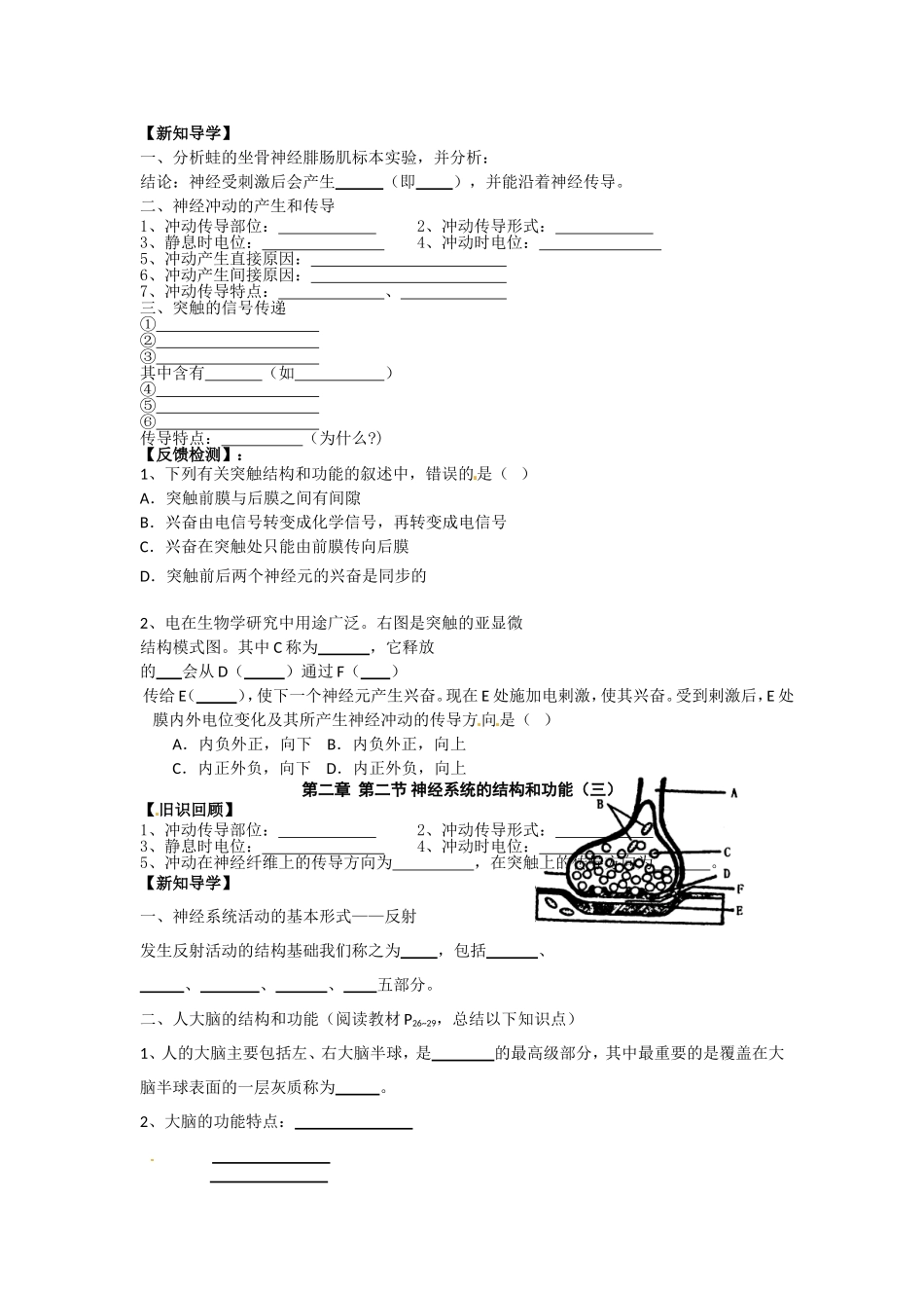 高中生物： 22 神经系统的结构和功能（学案）浙科版必修2_第2页