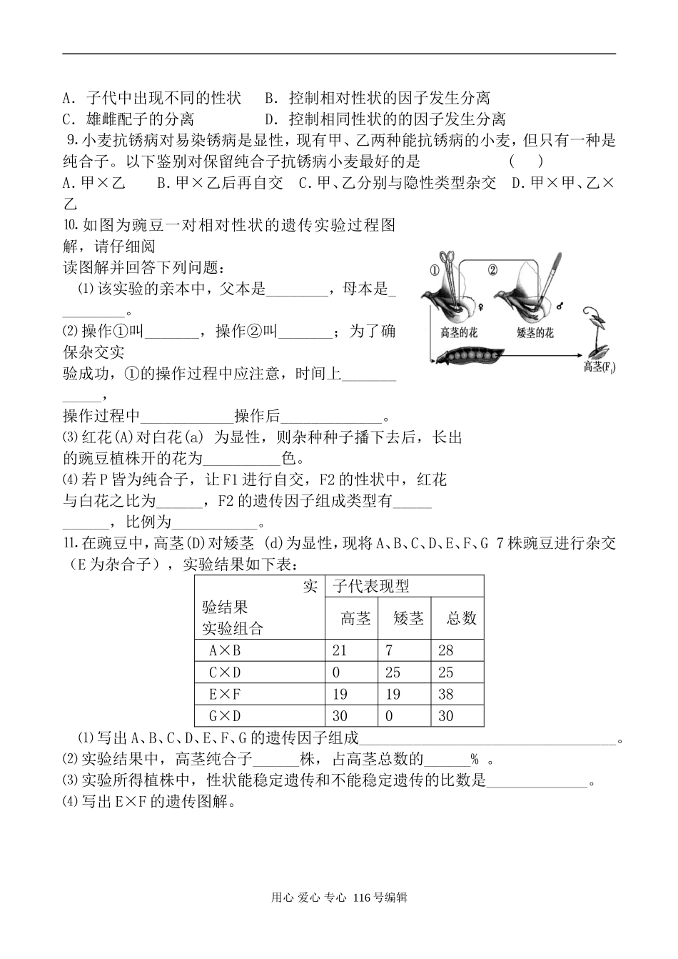 高中生物人教版必修2孟德尔的豌豆杂交实验 学案1_第3页