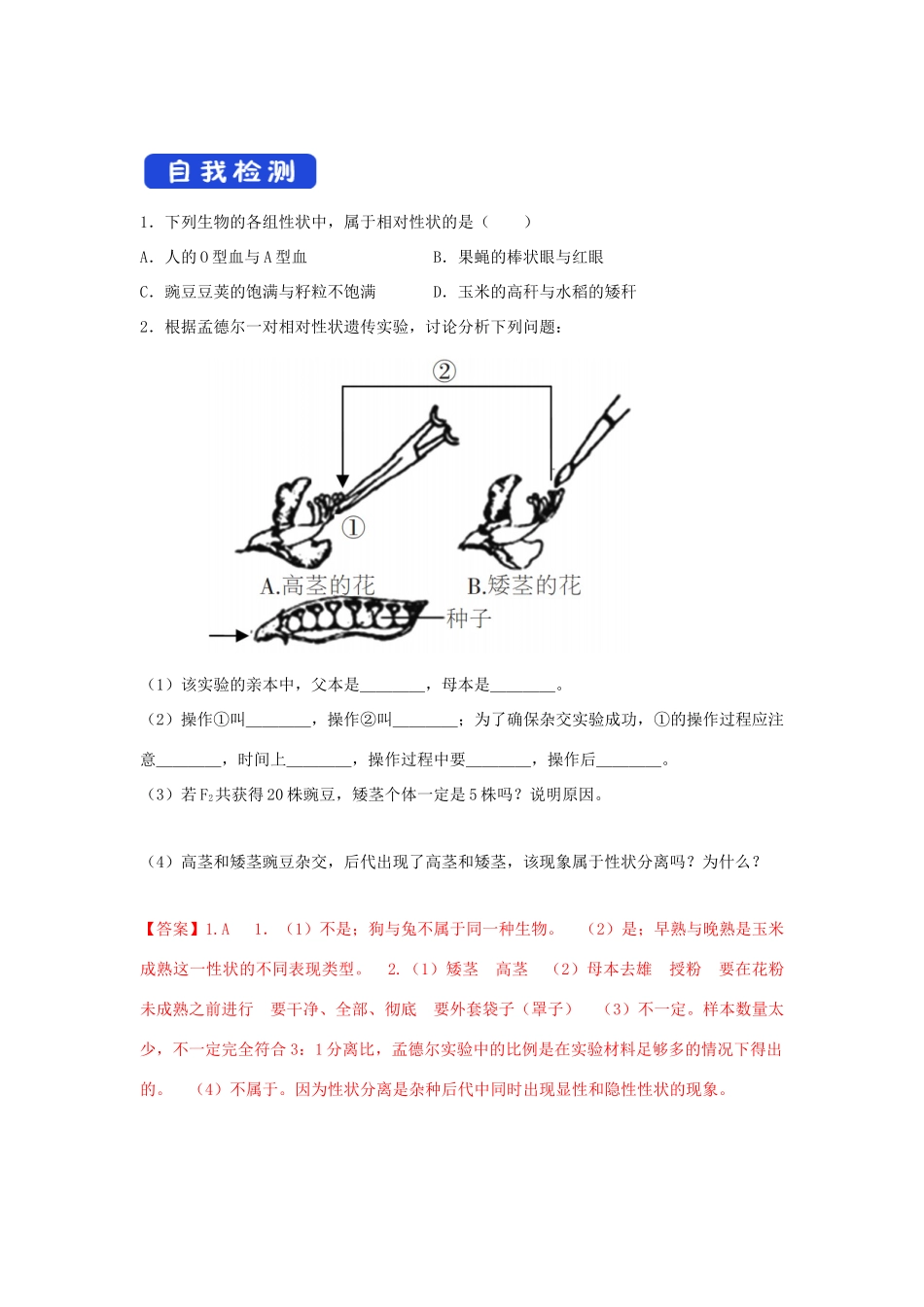 高中生物 第一章 孟德尔定律 第一节 孟德尔从一对相对性状的杂交实验中总结出分离定律学案（2）浙科版必修2-浙科版高一必修2生物学案_第3页