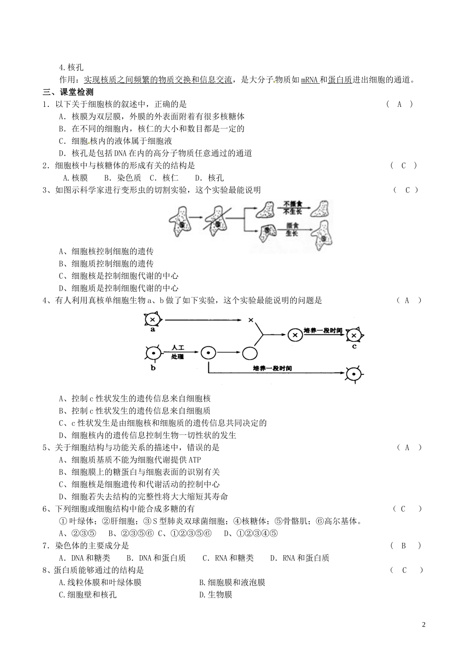 高中生物 第三章 系统的控制中心导学案 新人教版必修1-新人教版高一必修1生物学案_第2页