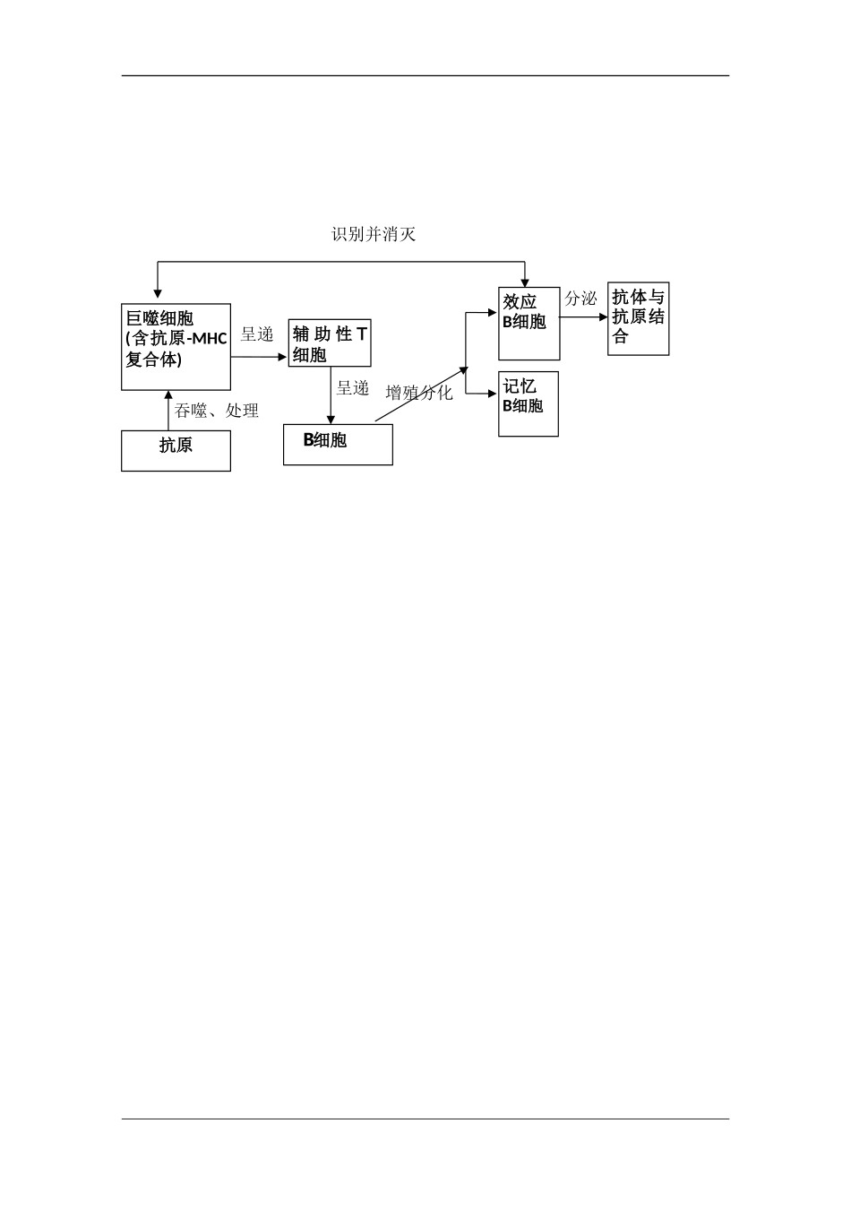 高中生物：3.2特异性反应（免疫应答）学案（1）（浙科版必修3）_第2页