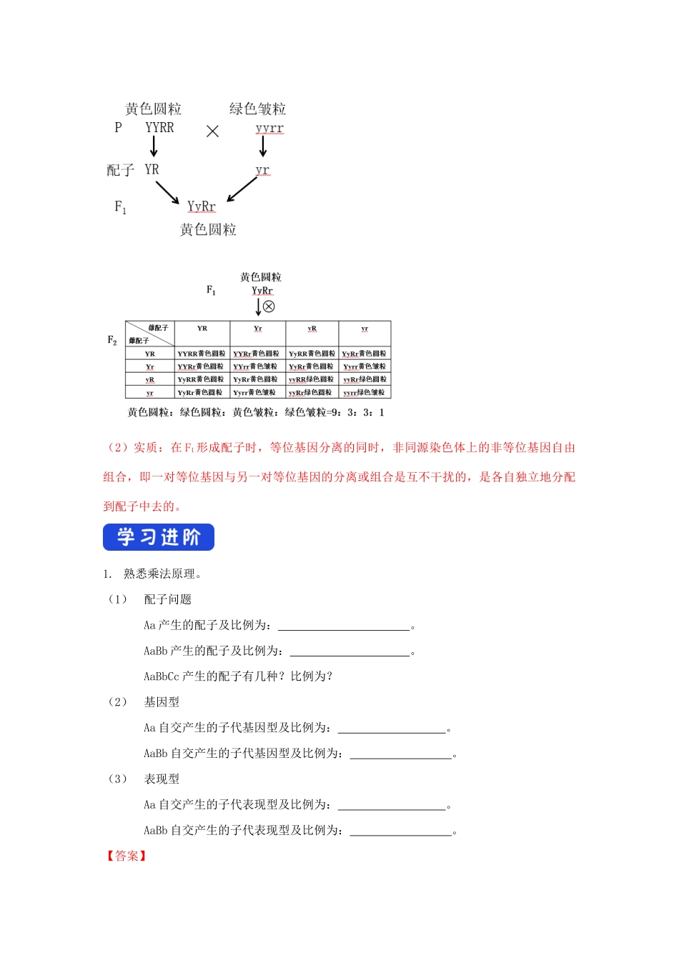 高中生物 第一章 孟德尔定律 第二节 孟德尔从两对相对性状的杂交实验中总结出自由组合定律学案（4）浙科版必修2-浙科版高一必修2生物学案_第2页