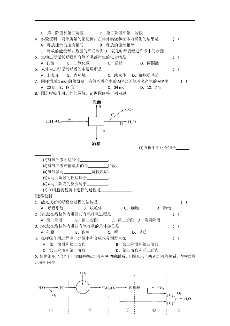 高中生物： 43 细胞呼吸（学案）苏教版必修1_第3页