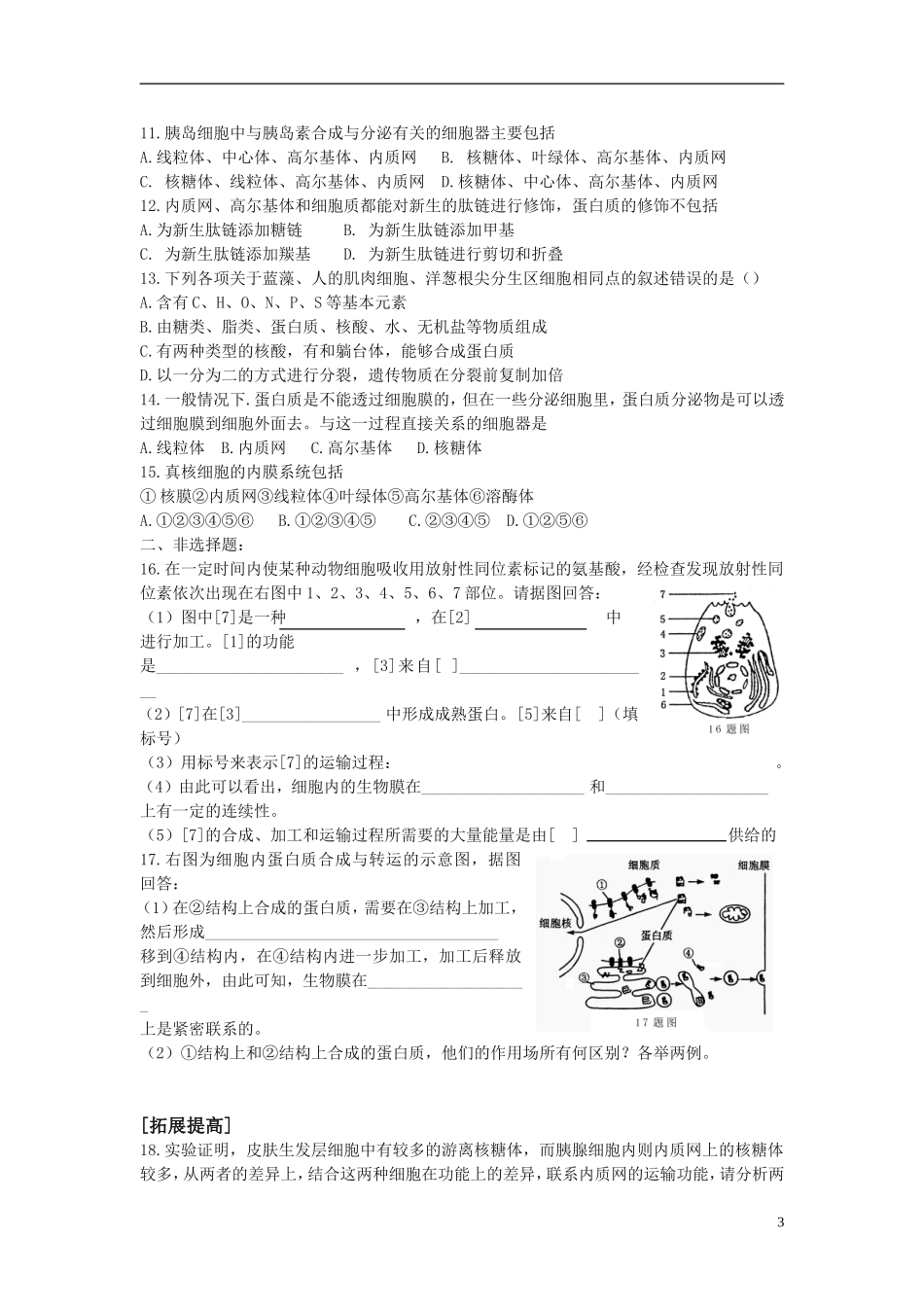 高中生物《蛋白质的合成与运输》学案9 中图版必修1_第3页