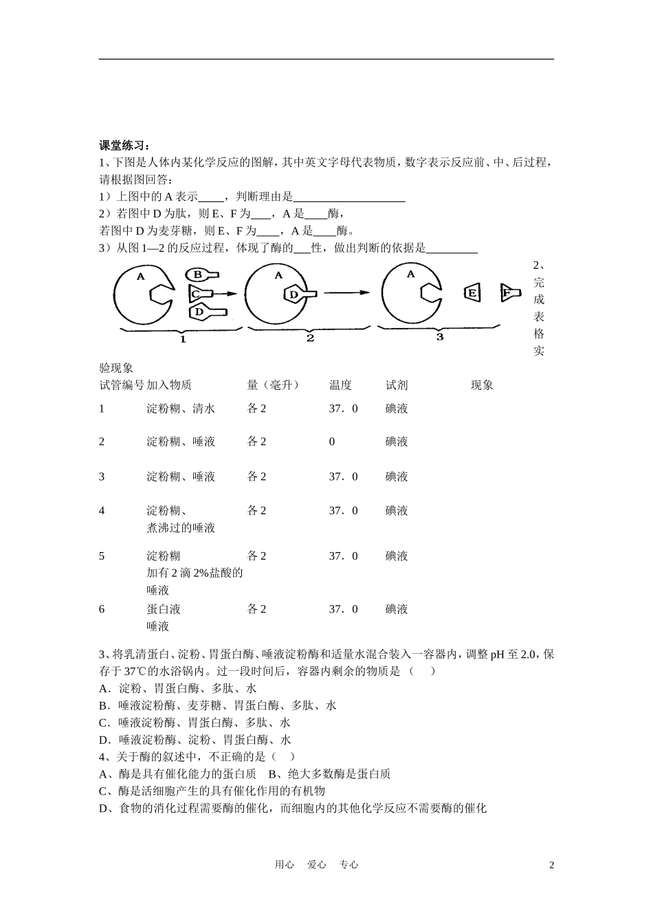 高中生物《生物体内的化学反应》学案2 沪科版第一册_第2页