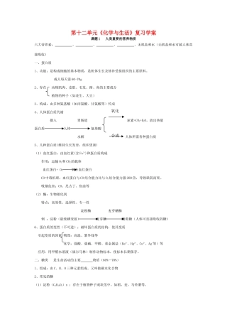 九年级化学第十二单元 化学与生活 复习学案 人教版