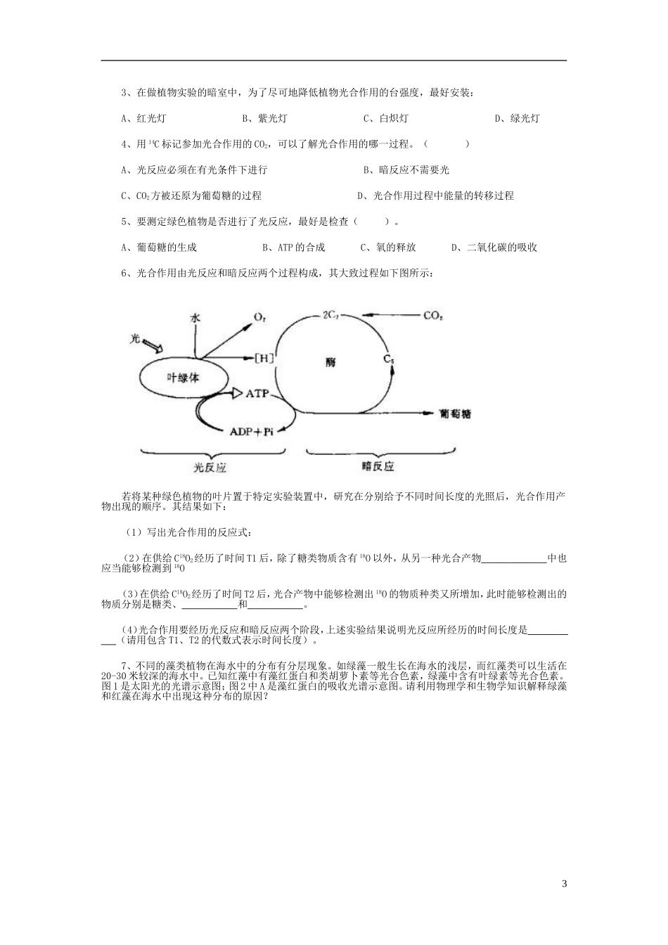 高中生物《光合作用》学案1 浙教版必修1_第3页