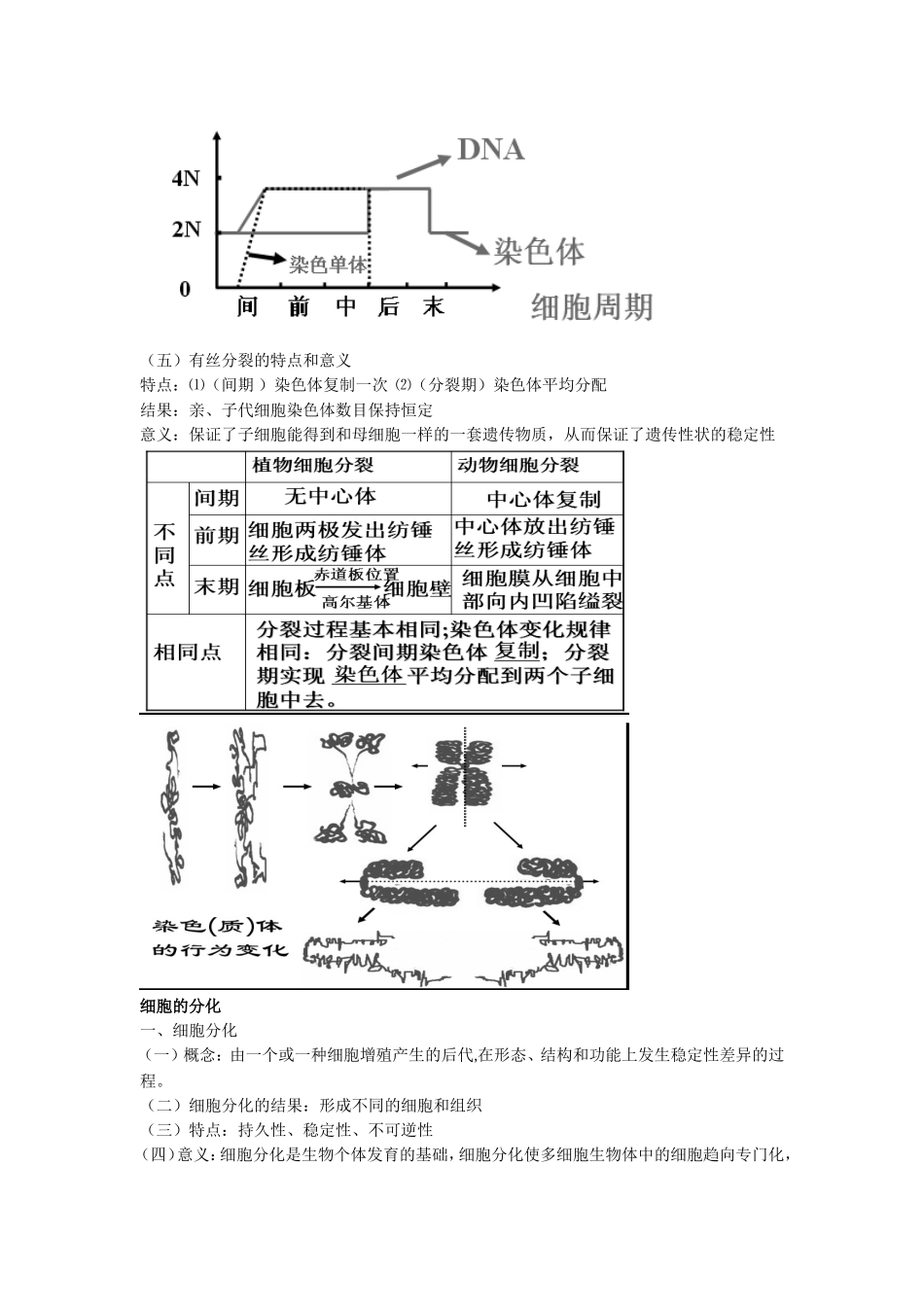 高中生物： 41 细胞的增殖与分化（学案）中图版必修1_第3页