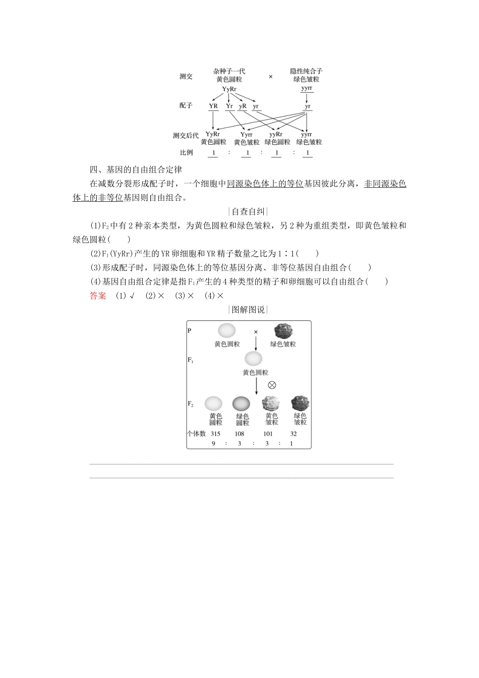 高中生物 第三章 遗传和染色体 第7课时 基因的自由组合定律学案 苏教版必修2-苏教版高一必修2生物学案_第2页