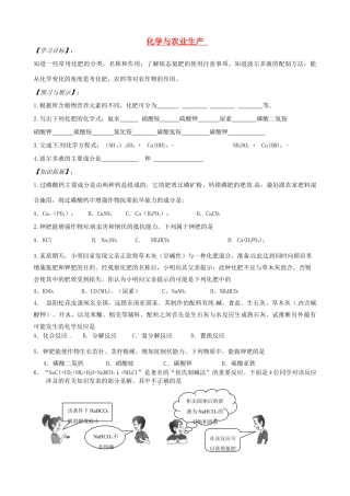 山东省枣庄是台儿庄区涧头二中九年级化学 第九章 9.3化学与农业生产学案 鲁教版