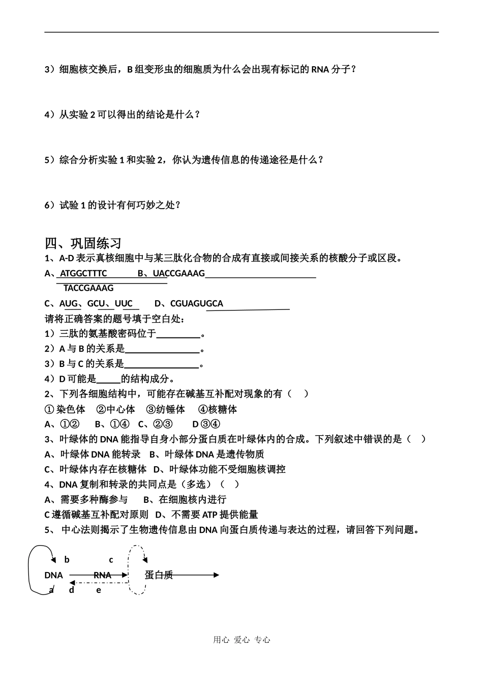高中生物：《基因的表达》学案（中图版必修2）_第3页