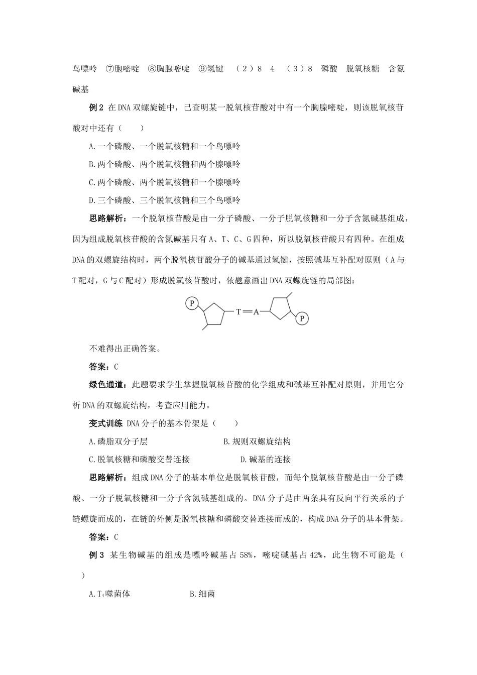 高中生物 例题与探究 第三单元 第一章 第二节 DNA的分子结构学案（含解析）中图版必修2-中图版高中必修2生物学案_第2页