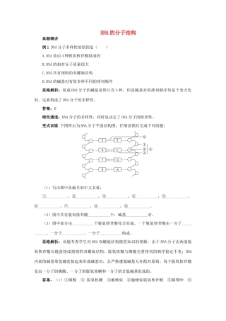 高中生物 例题与探究 第三单元 第一章 第二节 DNA的分子结构学案（含解析）中图版必修2-中图版高中必修2生物学案