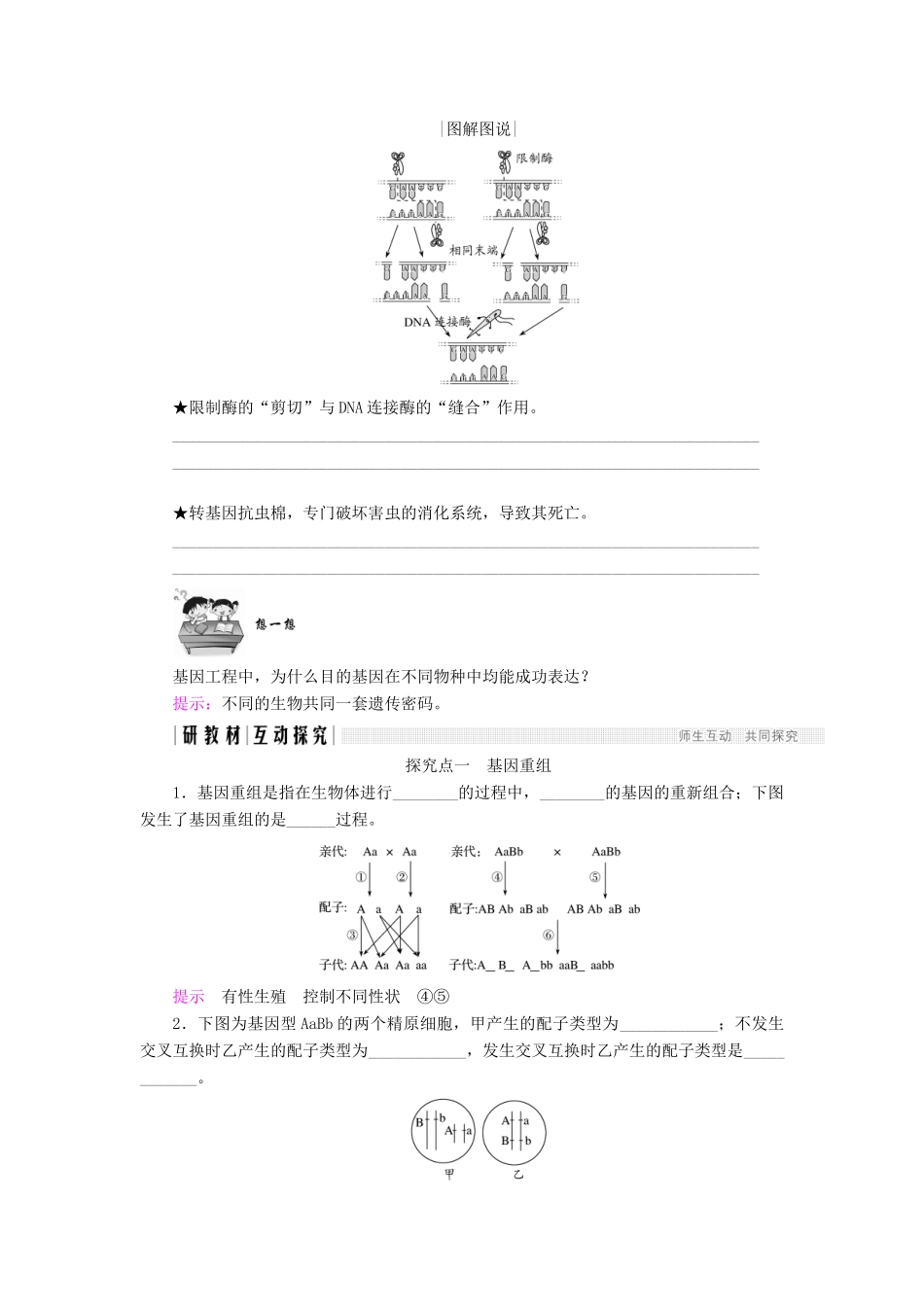 高中生物 第四章 遗传的分子基础 第17课时 基因重组、基因工程及应用学案 苏教版必修2-苏教版高一必修2生物学案_第2页