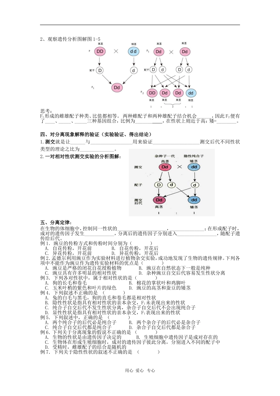 高中生物：1.1.1《孟德尔的豌豆杂交实验（一）》学案（新人教版必修2）_第2页