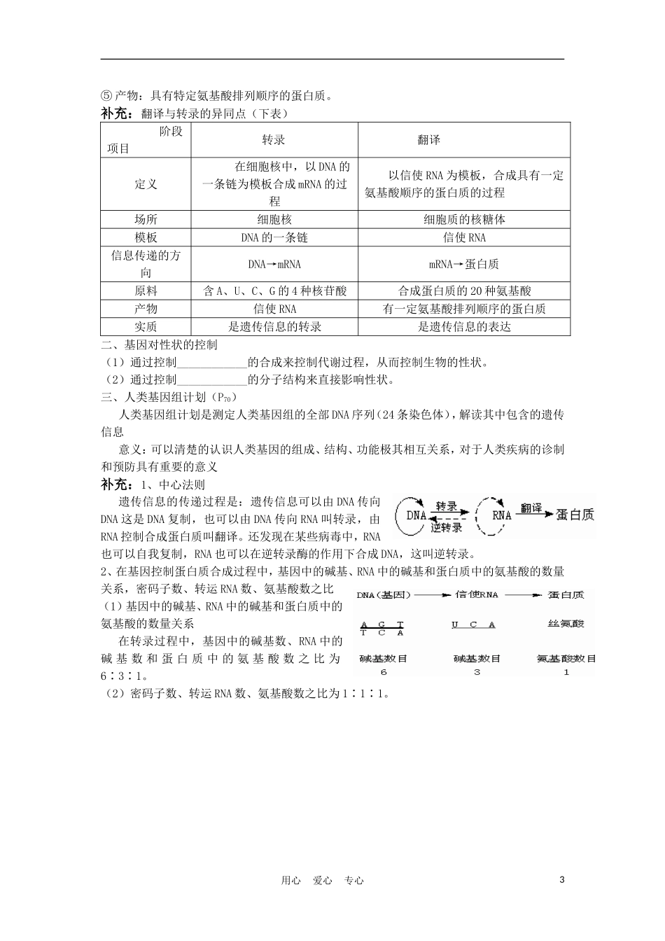 高中生物《基因控制蛋白质的合成》学案2 苏教版必修2_第3页