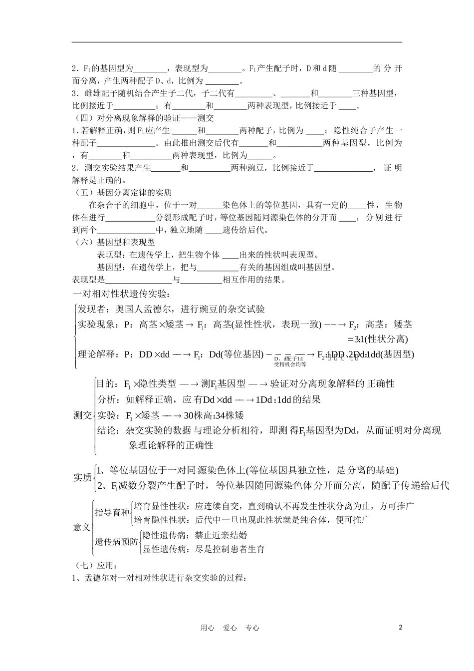 高中生物《基因的分离定律》学案3 苏教版必修2_第2页