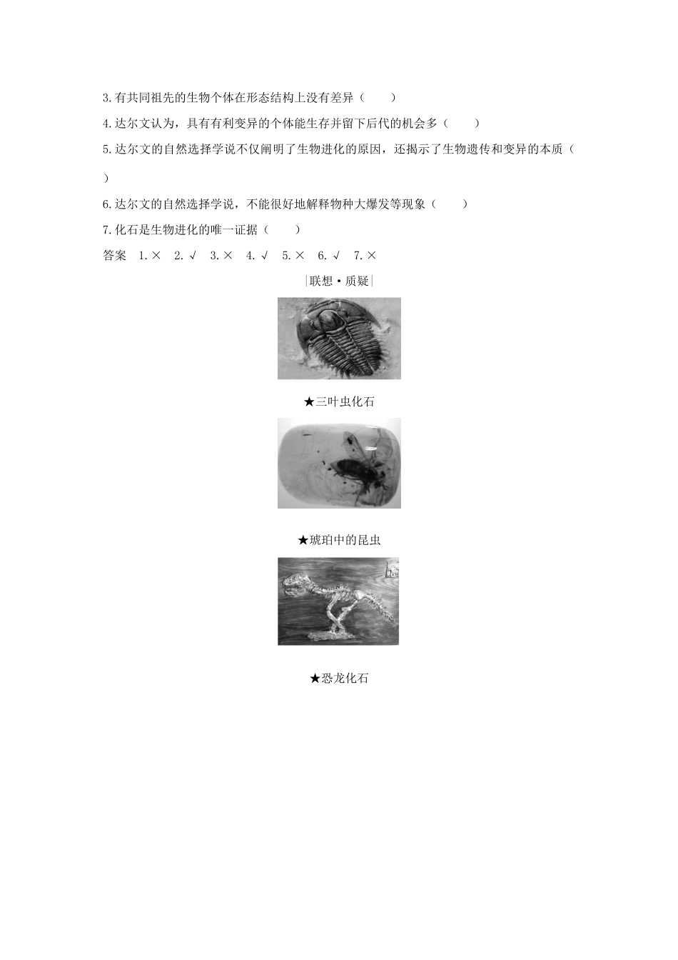 高中生物 第7章 现代生物进化理论 第1节 现存生物都有共同祖先学案 新人教版必修2-新人教版高一必修2生物学案_第3页