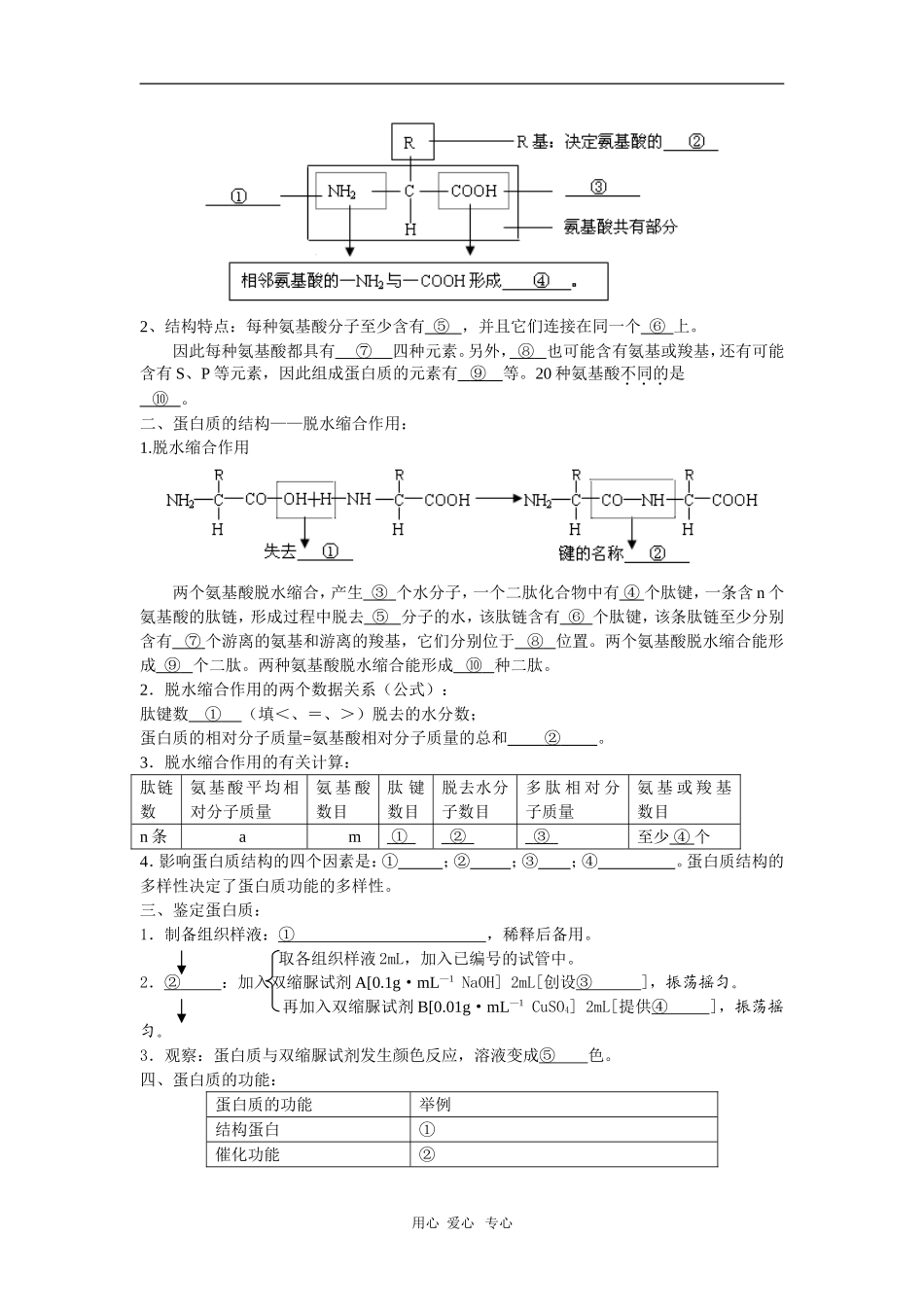 高中生物《第2节 蛋白质——生命活动的主要承担者》学案 人教必修1_第2页