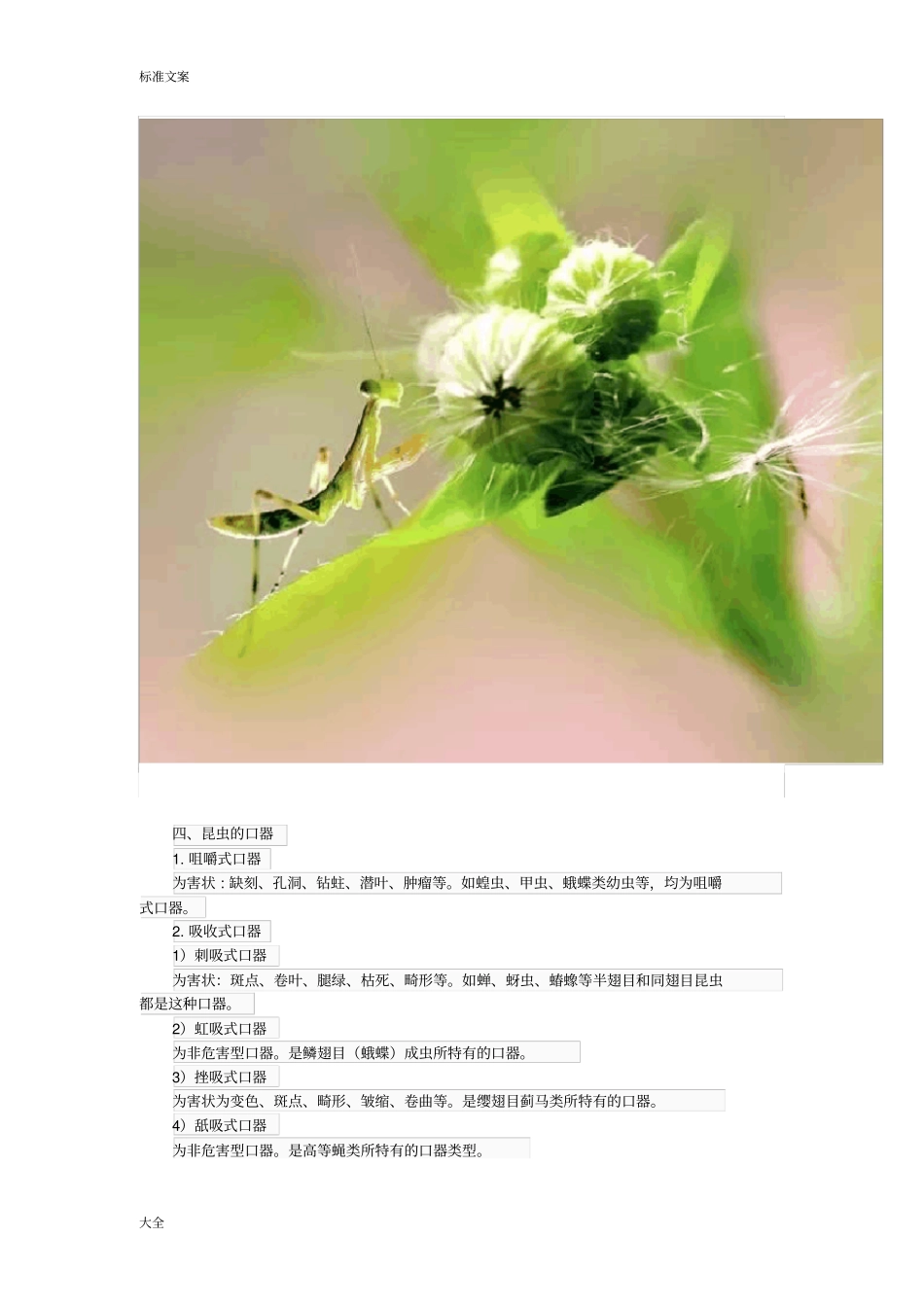 一分钟读懂昆虫各种形态_第3页