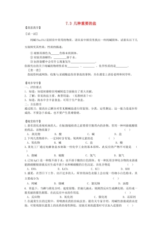 春九年级化学全册 7.3 几种重要的盐学案3 （新版）沪教版-（新版）沪教版初中九年级全册化学学案