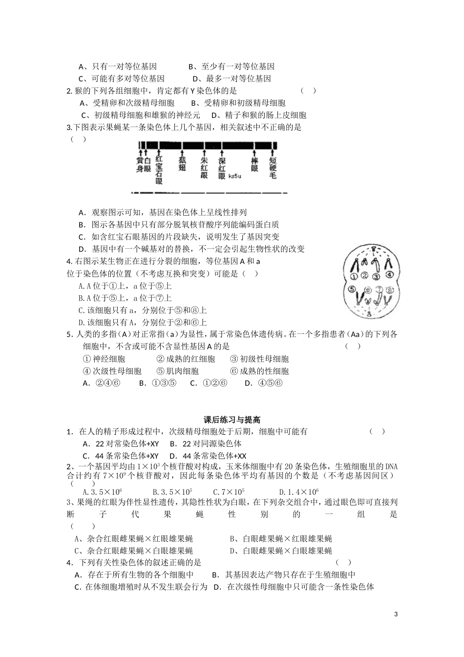 高中生物 第二章第2节《基因在染色体上》导学案 新人教版必修2_第3页