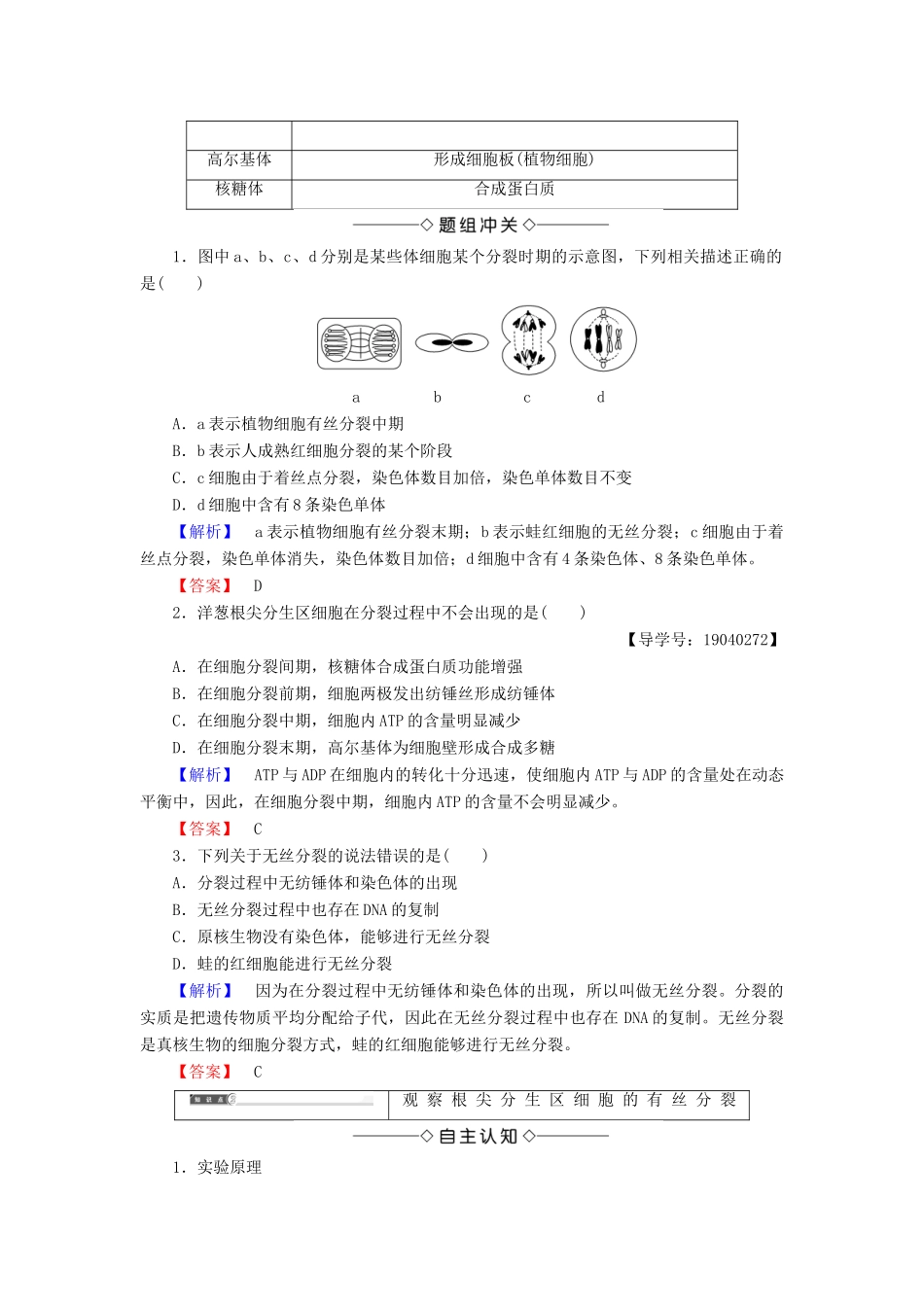 高中生物 第六章 细胞的生命历程 第1节 第2课时 动物细胞的有丝分裂、无丝分裂及观察根尖分生组织细胞的有丝分裂学案 新人教版必修1-新人教版高一必修1生物学案_第3页