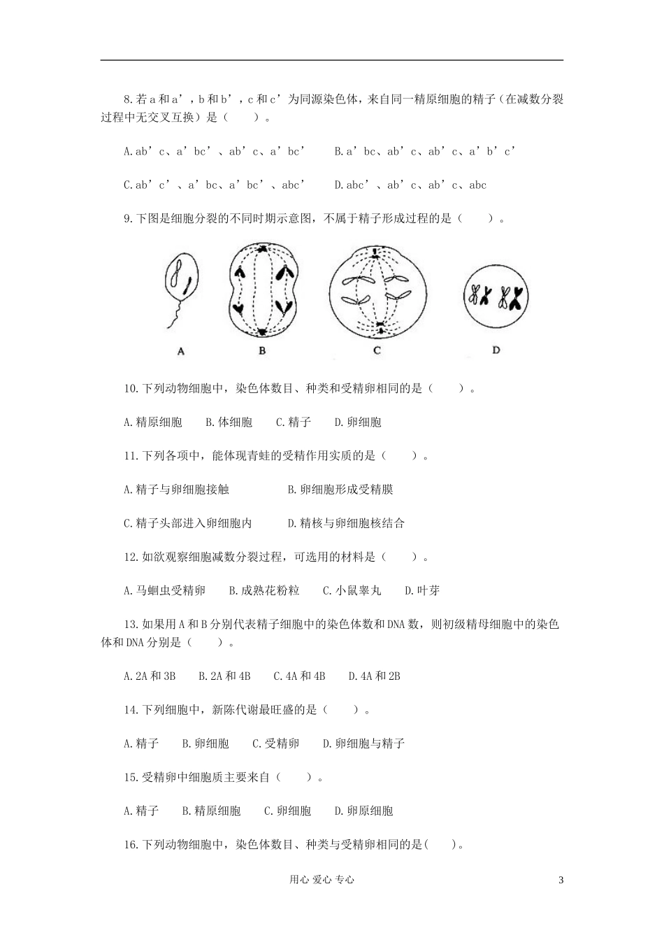 高中生物《减数分裂和受精作用》学案7 新人教版必修2_第3页