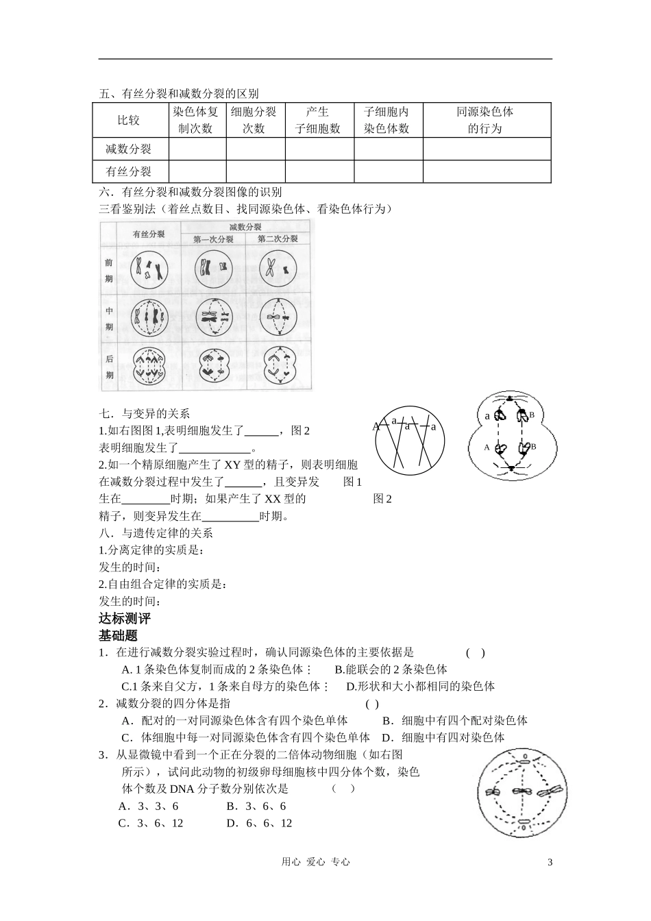 高中生物 数分裂专题复习一导学案 新人教版必修2_第3页