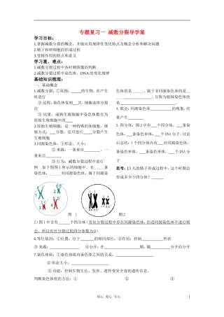 高中生物 数分裂专题复习一导学案 新人教版必修2