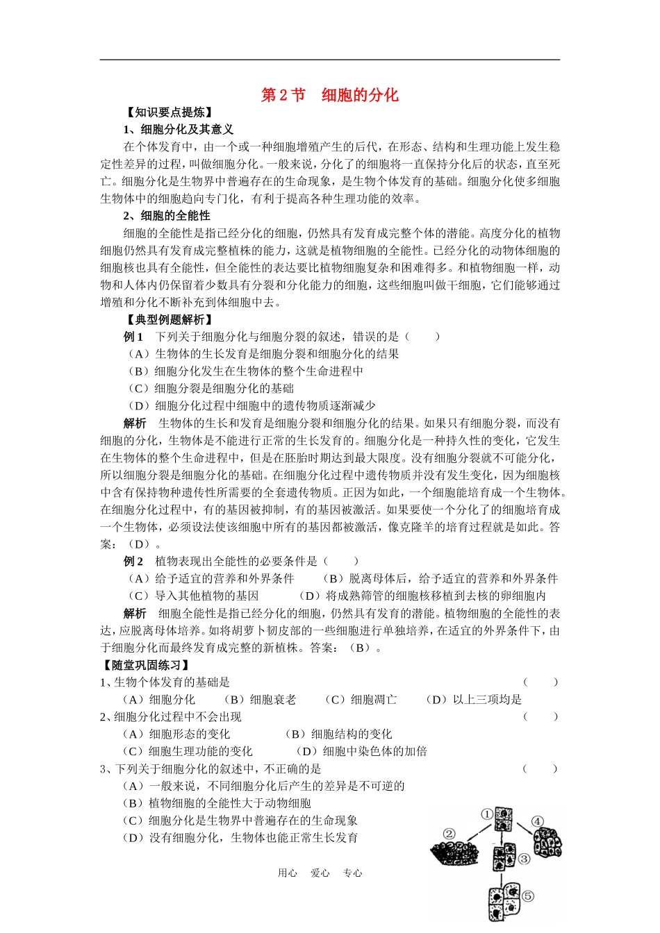 高中生物《细胞的分化》学案4 新人教版必修1_第1页