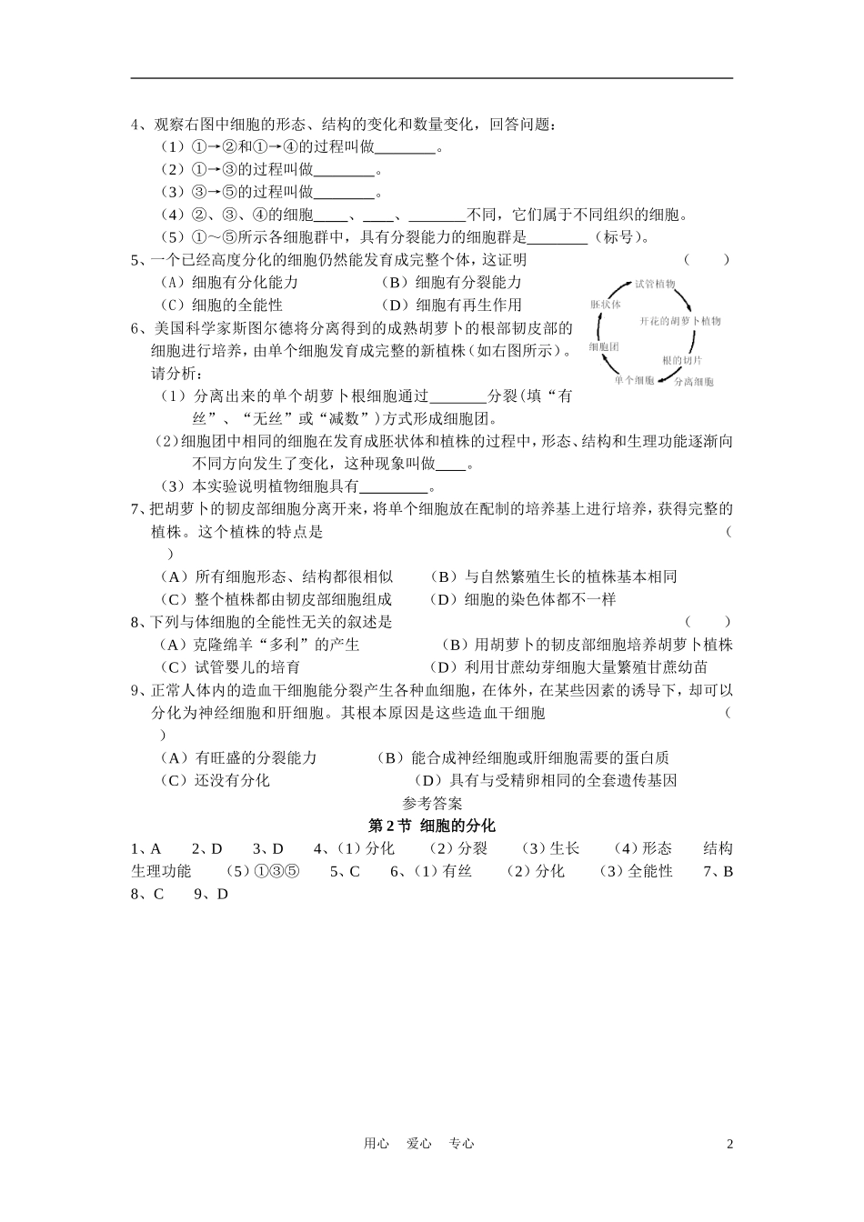 高中生物《细胞的分化》学案4 新人教版必修1_第2页