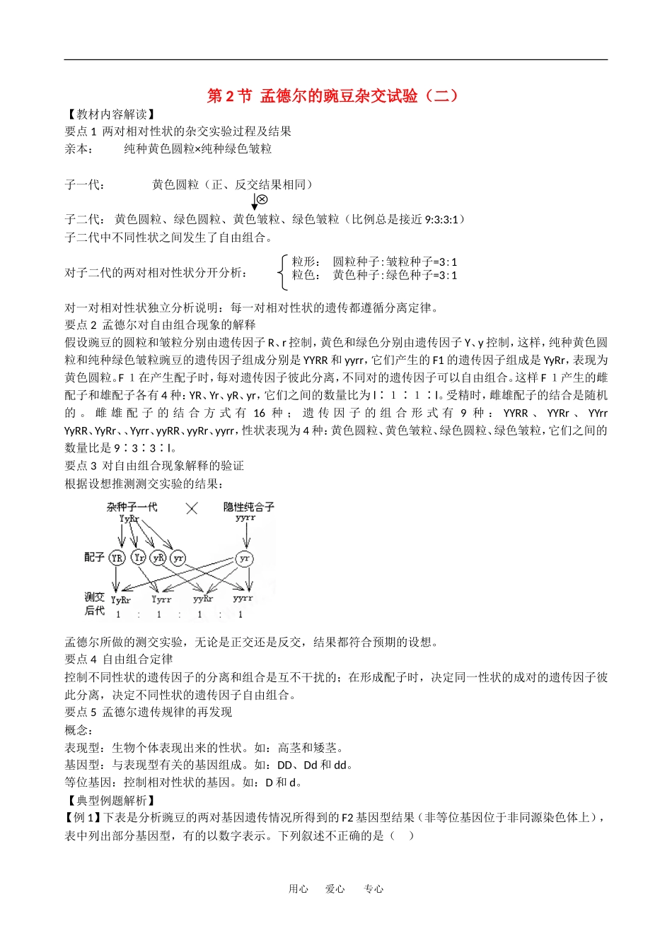 高中生物：1.2 孟德尔的豌豆杂交实验二 学案1新人教版必修2_第1页