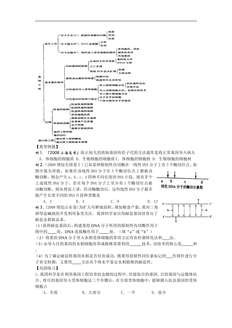 高中生物专题1  基因工程学案_第2页