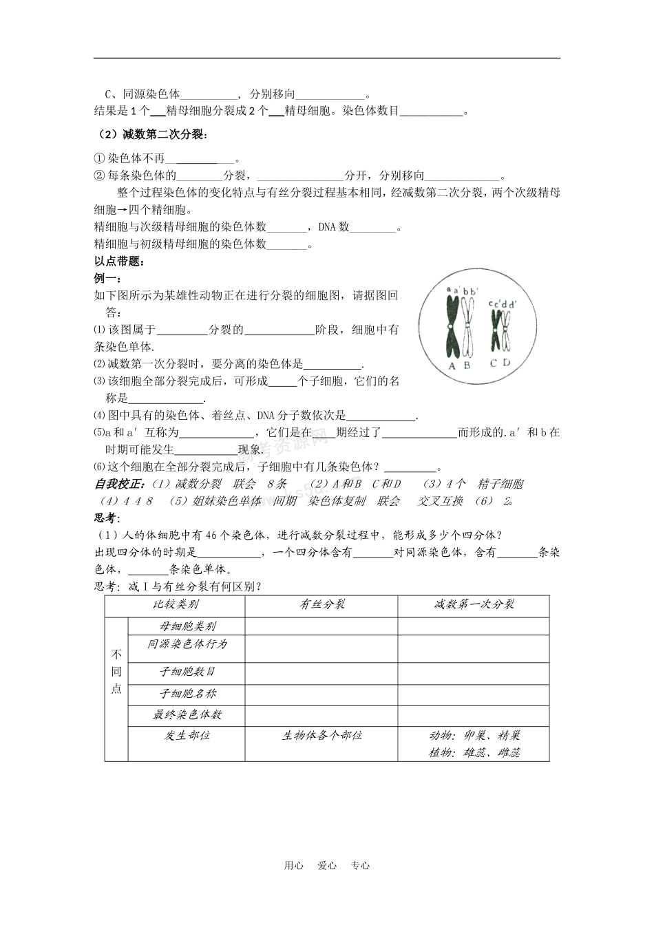 高中生物：2.1《减数分裂和受精作用》学案（3）（新人教版必修2）_第2页