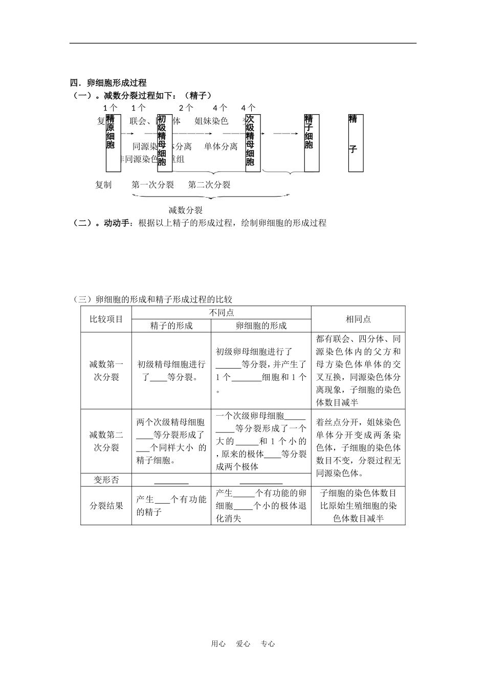 高中生物：2.1《减数分裂和受精作用》学案（3）（新人教版必修2）_第3页