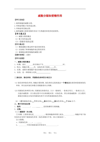 高中生物：2.1《减数分裂和受精作用》学案（3）（新人教版必修2）